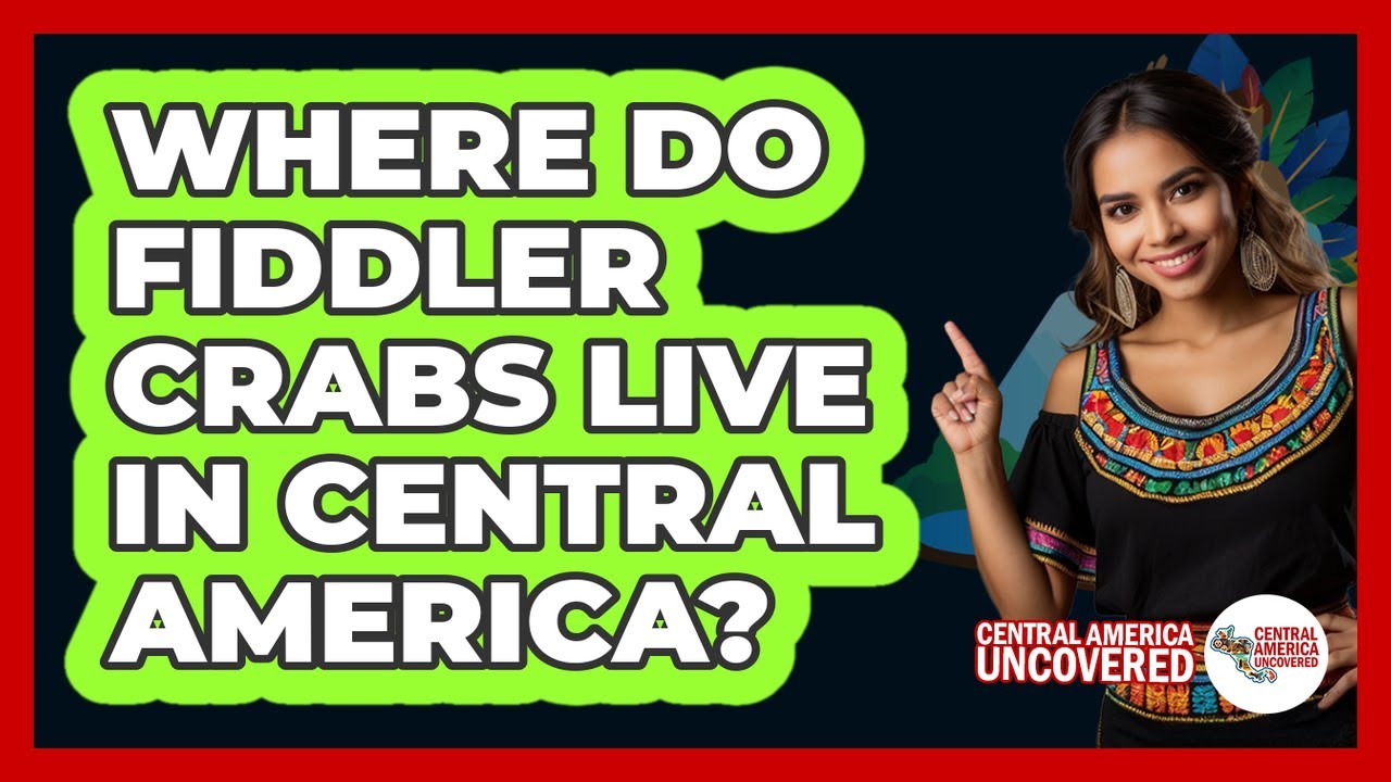 Where Do Fiddler Crabs Live In Central America?