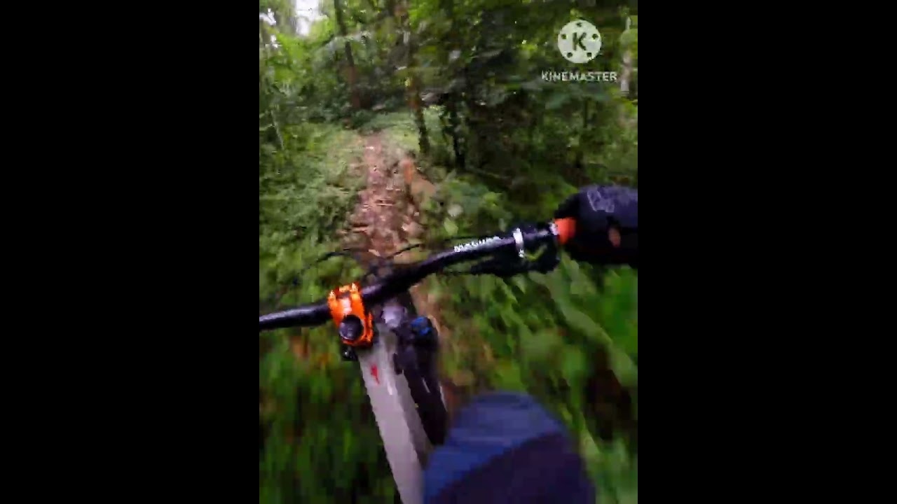 Baloc trail old line