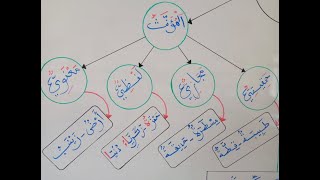 المذكر والمؤنث - السنة الثانية ثانوي إعدادي.