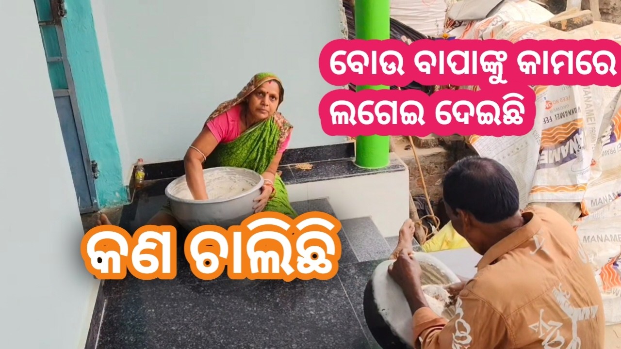 ଆଜି ସମସ୍ତେ କାମରେ ଲଗିଯାଇଛନ୍ତି || mr dev vlog ||Mr baladev07 😍 village vlog video