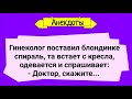 Анекдоты! Блондинка у Гинеколога! Подборка Веселых Анекдотов! Юмор!