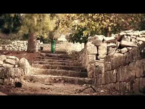 دموع الحنين ريم بيضون