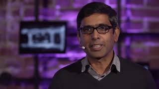 Circadian Code to Extend Longevity | Summary Video, Fly Bodies