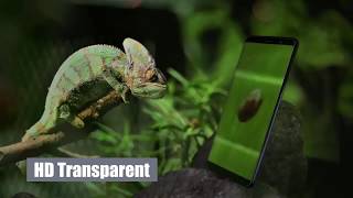 6D Curved Edge tempered glass protector For iphone X 8 7 6 screenshot 5