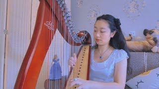 Park Bird - Are You Lost | Celtic harp cover【Rutinschrei芦丁吟】