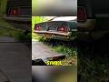 Resurrecting a 1971 Mustang for $600 😱🔥