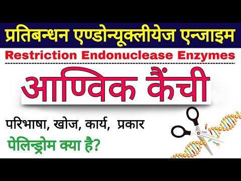 वीडियो: क्या प्रतिबंध एंजाइम आरएनए को काट सकते हैं?