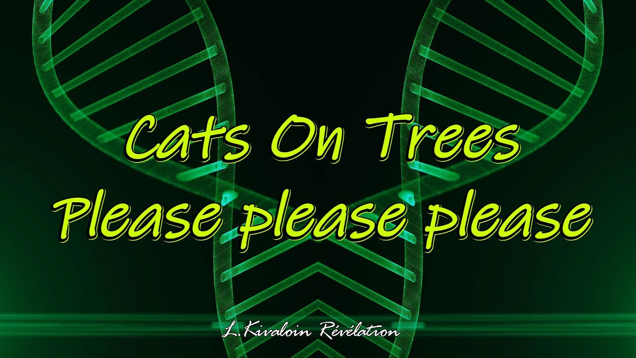 Paroles Please Please Please Cats On Trees