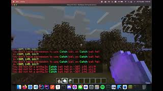 CatchBall Plugin permission node test