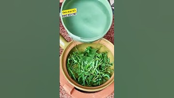 Cây Chó Đẻ: Thần Dược Hỗ Trợ Gan, Thanh Nhiệt Giải Độc Tự Nhiên! herbmax