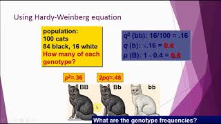 Cowger- Hardy Weinberg Equilibrium