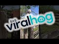 Urutaú Nictibian Ghost Bird Perches on A Fence Post || ViralHog