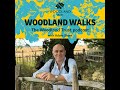 6. A woodland walk with adventurer Al Humphreys
