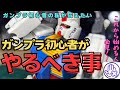 ガンプラ初心者によるガンプラ初心者がやるべき事！！