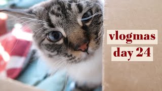 A day in our life. [vlogmas - day 24] by stacyvlogs 36,908 views 3 years ago 19 minutes