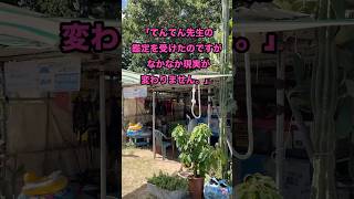 「てんてん先生の鑑定を受けたのですが なかなか現実が変わりません。」 #お金を増やす #幸せ #開運