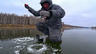 Нашёл КУЧУ РЫБЫ КАМЕРОЙ и ПОПАЛ  на ПУЛЕМЁТНЫЙ КЛЁВ! Первый лёд 20232024!