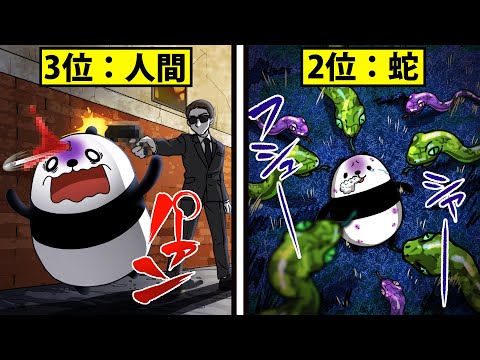 【アニメ】人間を最も殺している生物とは?1位の生物がヤバすぎる…