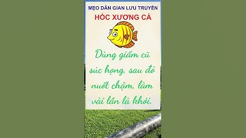 Mẹo Dân Gian Chữa Hóc Xương Cá Siêu Nhanh #bíquyêtsốngkhỏe #hạnhphúc #cáchsốnglạquan #lạquan