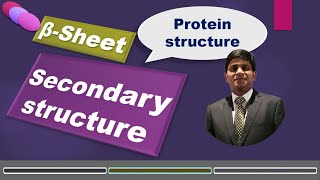 Beta sheet: Secondary structure of Protein:  biochemistry
