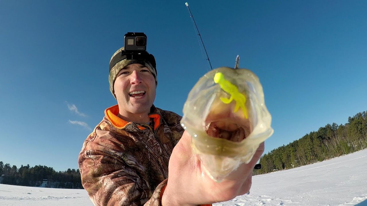 Crappie Ice Fishing Power Fishing Soft plastics For A Limit Of