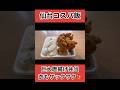圧倒的!巨大からあげ弁当。からあげ専門 石井商店 東仙台店 #仙台 #コスパ #デカ盛り #ランチ #弁当