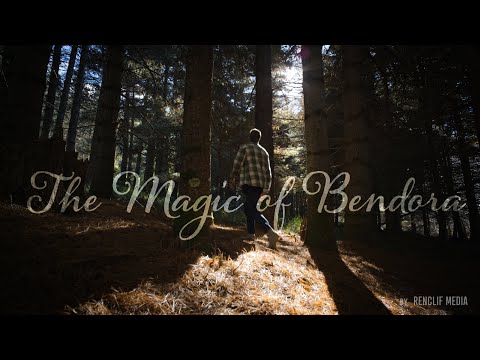 The Magic Of Bendora Forest Cinematic 4K 12 Bit RAW 