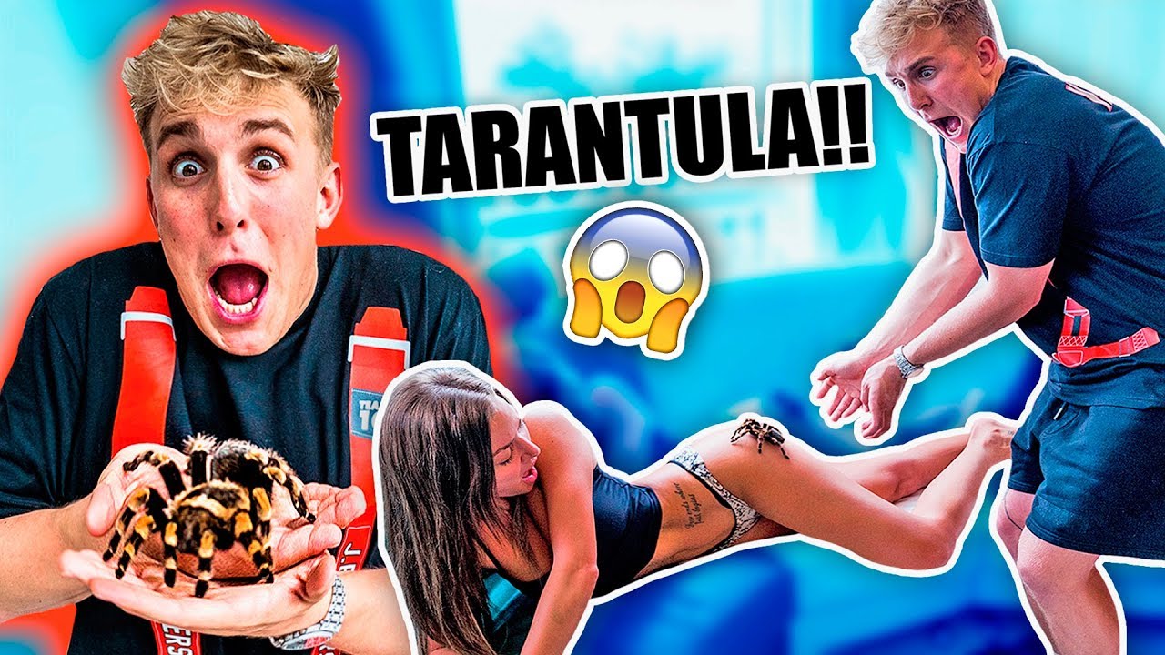 Giant Tarantula Prank On My Girlfriend Youtube