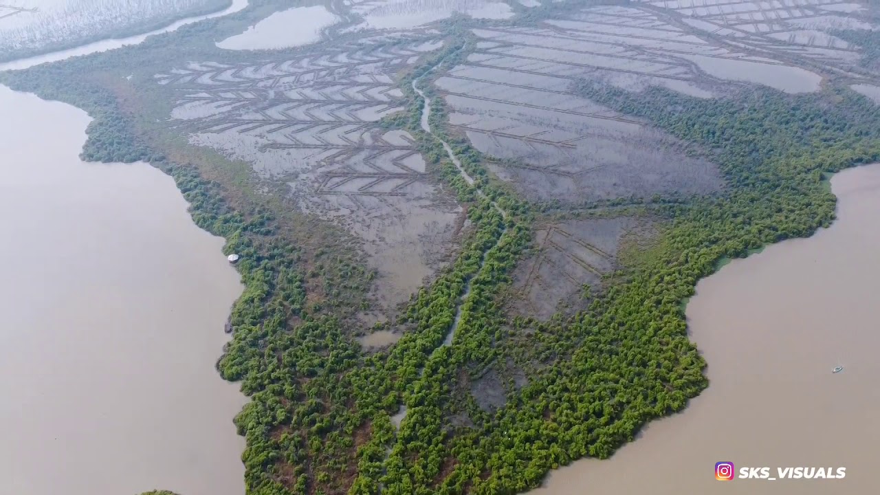 Muthupet Lagoon | Sksvisuals - YouTube