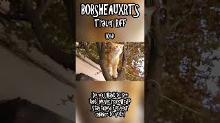 Bobsheauxrts Trailer Riff - Kedi