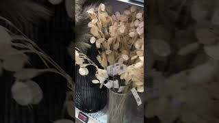 Germany Jysk Decor Designers