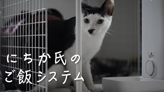 にちか氏のご飯システム - PETKIT FRESH ELEMENT mini