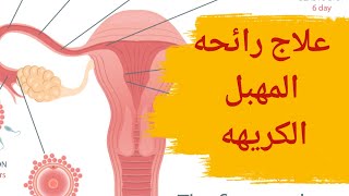 علاج الافرازات المهبلية ذات الرائحة الكريهة | علاج الافرازات المهبلية ذات الرائحة الكريهة عند البنات