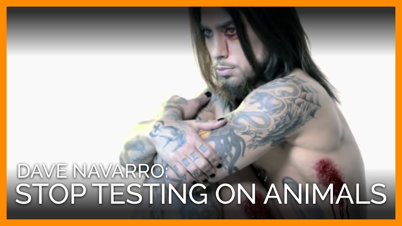 Dave Navarro: Stop Testing Cosmetics on Animals