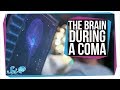 Understanding Comas and Consciousness