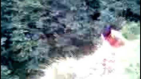 C:\Documents and Settings\Shaki\Desktop\New Folder\Fuqi.3gp