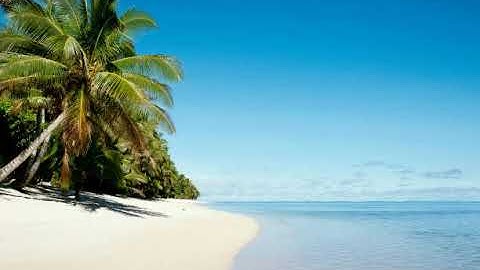 Deep Blue - Coral (2002)