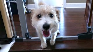 EDDIE IS HOME