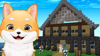 Ce Am Construit In Smp