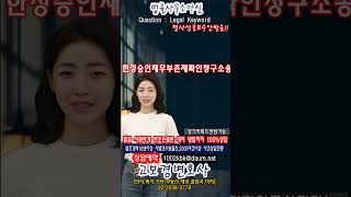 한정승인채무부존재확인청구소송
