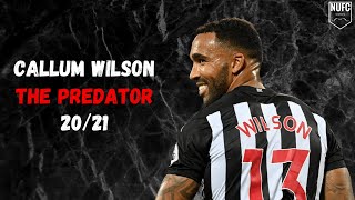 Callum Wilson | The Predator | Skills &amp; Goals 20/21