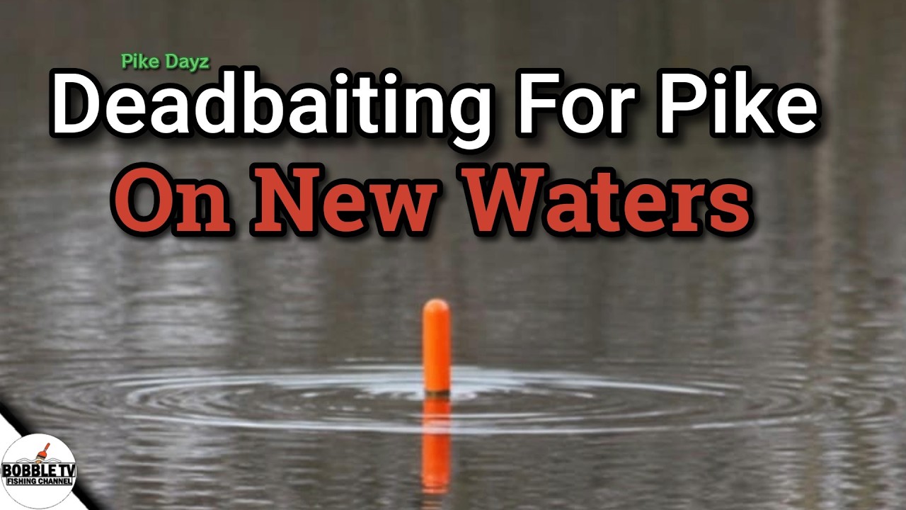 Deadbaiting A New Water… Are There Big Pike in Here?