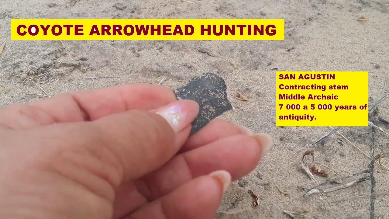 52 ARROWHEAD HUNTING My wife and I found a great diversity of