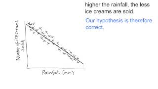 Scientific Investigation: Conclusions