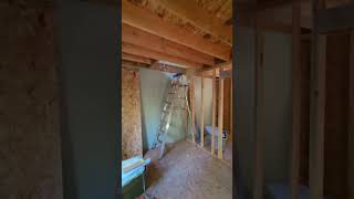 Tiny ADU 250sf with 180SF loft tour. rough frame and shear.