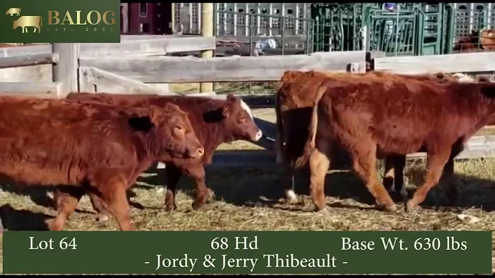 Jordy & Jerry Thibeault Lot 64