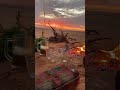 أجمل شاي في صحراء الجزائر 