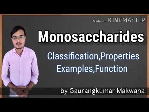 मोनोसैकराइड, वर्गीकरण, गुण, उदाहरण और मोनोसेकेराइड के कार्य