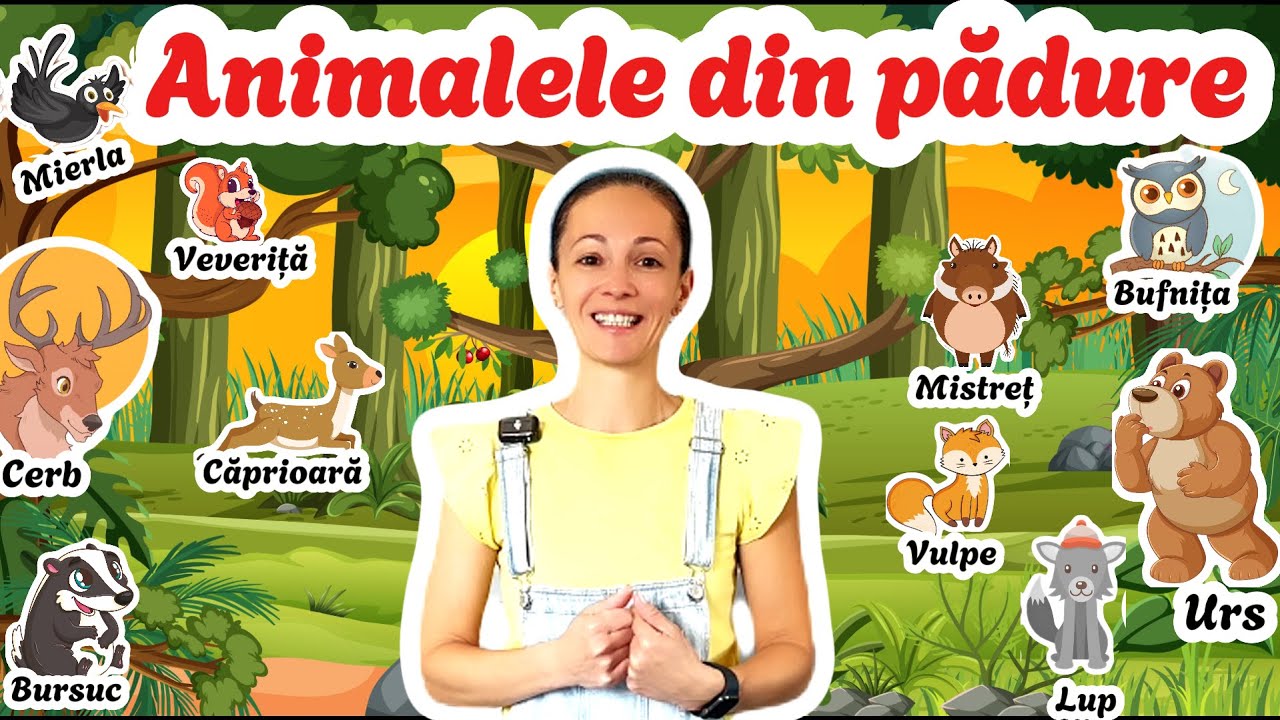 Animalele din pădure pentru copii 🌲 | Urs, lup, veveriță, cerb, vulpe și altele | Video educativ