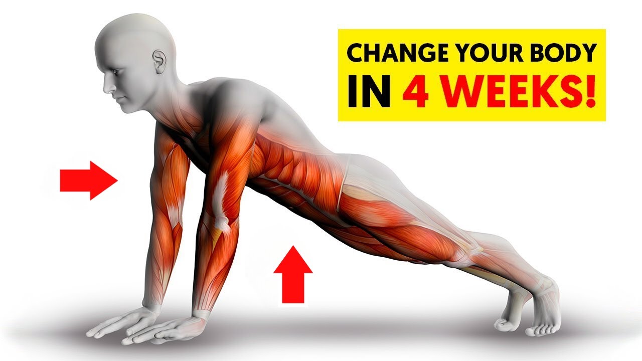5 Exercises Without Equipment To Transform Your Body Quickly (IN 4 ...